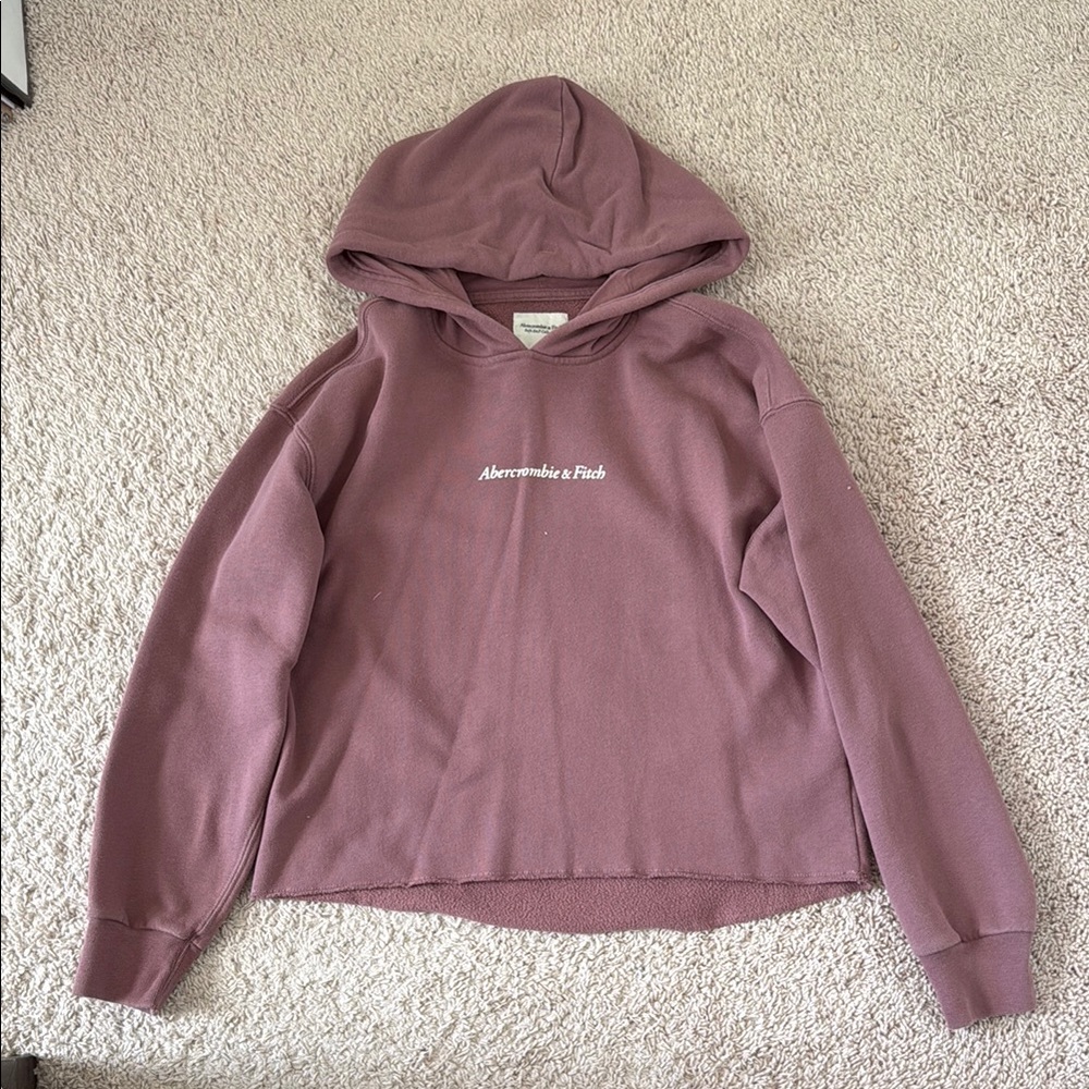 Abercrombie & Fitch Mauve Hoodie